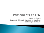 Plastique - Pansements et TPN - Le Touze - 08-09