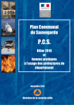 PCS bilan 2010 version définitive - Les services de l`État en Ille