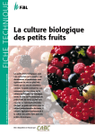 La culture biologique des petits fruits