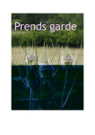 prends garde - 456