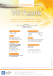 Vit`azote