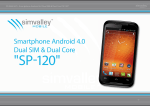 Smartphone Android 4.0 Dual SIM & Dual Core