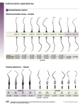 Instruments opératoires - Patterson Dental/Dentaire