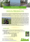 lettre infos 11.pub - bienvenue sur le site du codep 37