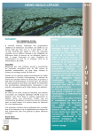 news huglo lepage n&deg;16 j u i n 2 0 0 9