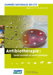 Antibiothérapie :