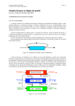 Chapître Niveaux et Objets de qualité