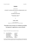 V - Les Th&egrave;ses de l`INSA de Lyon