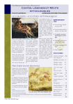 Le troisi&egrave;me envoi