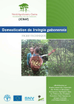 Domestication de Irvingia gabonensis