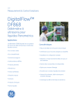 Panametrics DigitalFlow DF868 Liquid Ultrasonic Flowmeter