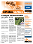 L`INDICE ORANGE L`INDICE ORANGE