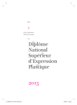 Diplôme National Supérieur d`Expression Plastique 2013