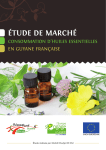 Etude de marché de la consommation d`huiles essentielles en