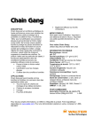 FICHE TECHNIQUE DESCRIPTION Chain Gang est un lubrifiant