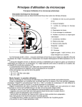Principes d`utilisation du microscope