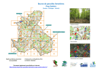 Bourse de parcelles forestières Pays Santon