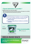 MEGA BASE RACE