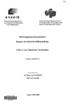 NTIC et les collectivités territoriales : rapport de recherche