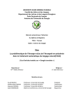 Titre La probl&eacute;matique de l`&eacute;tranger et/ou de l`&eacute;tranget&eacute; en