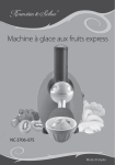 Machine &agrave; glace aux fruits express