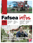 Jardineries et graineteries fleurissent au Fafsea