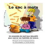 Mode d`emploi Sac 2 Windows