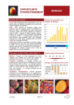 opportunité d`investissement mangue