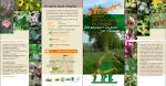 Flyer de pr&eacute;sentation