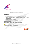 Mode d`emploi Crazy