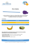 Filtre &agrave; &eacute;thyl&egrave;ne