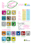 Télécharger - Communauté de Communes du Plateau d`Hauteville