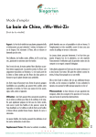La baie de Chine, &laquo;Wu-Wei-Zi&raquo;