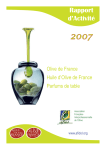 Rapport d`activité AFIDOL 2007