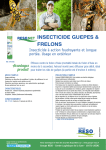 INSECTICIDE GUEPES & FRELONS