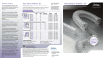 Stent biliaire WallFlex™ RX