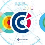 Rapport d activite CCIH 2013