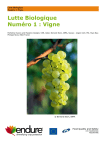 Biocontrol Number One_Grapevine (French)