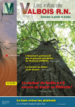 T&eacute;l&eacute;charger les Infos de Valbois RN &ndash; 1 er trimestre 2010
