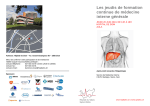 Les jeudis de formation continue de m&eacute;decine