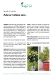 Arbres fruitiers nains