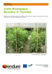 Biocontrol Number Two_Tomato (French)