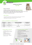 Polykystose R&eacute;nale Test PKD