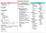 PROGRAMMATION EN CM2