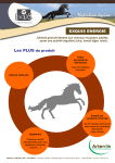 EXQUIS ENERGIE pdf