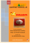 Rapport annuel JE