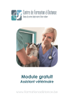 Module gratuit Assistant vétérinaire