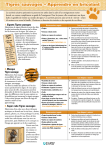 Tigres sauvages &ndash; Apprendre en bricolant