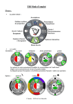 TBI mode d`emploi : EBEAM