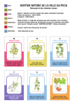 Jeu de 7 familles